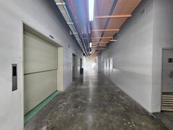 Techpoint (D20), Factory #455014301